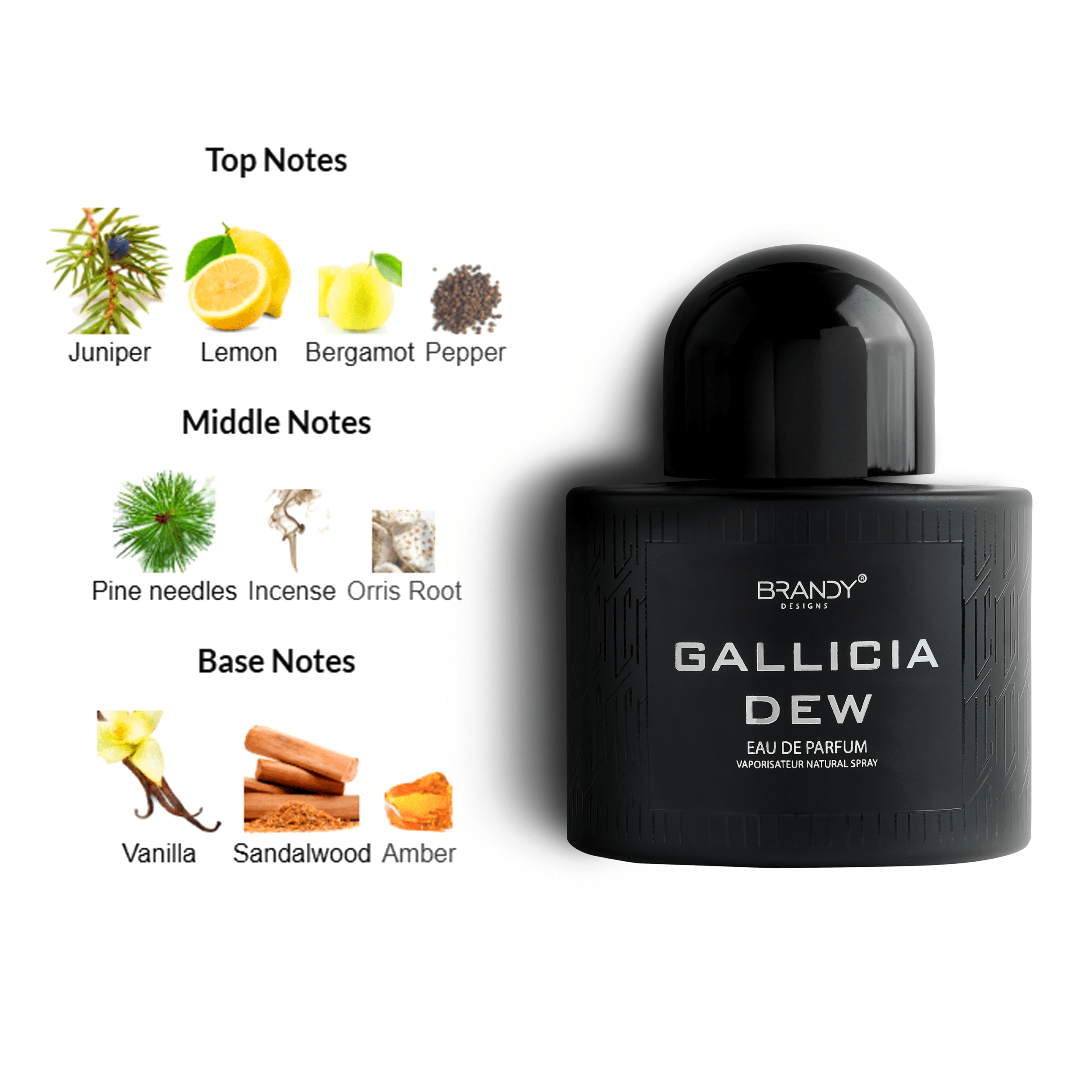 Gallicia Dew Eau De Parfum For men – 100ml - Image 5