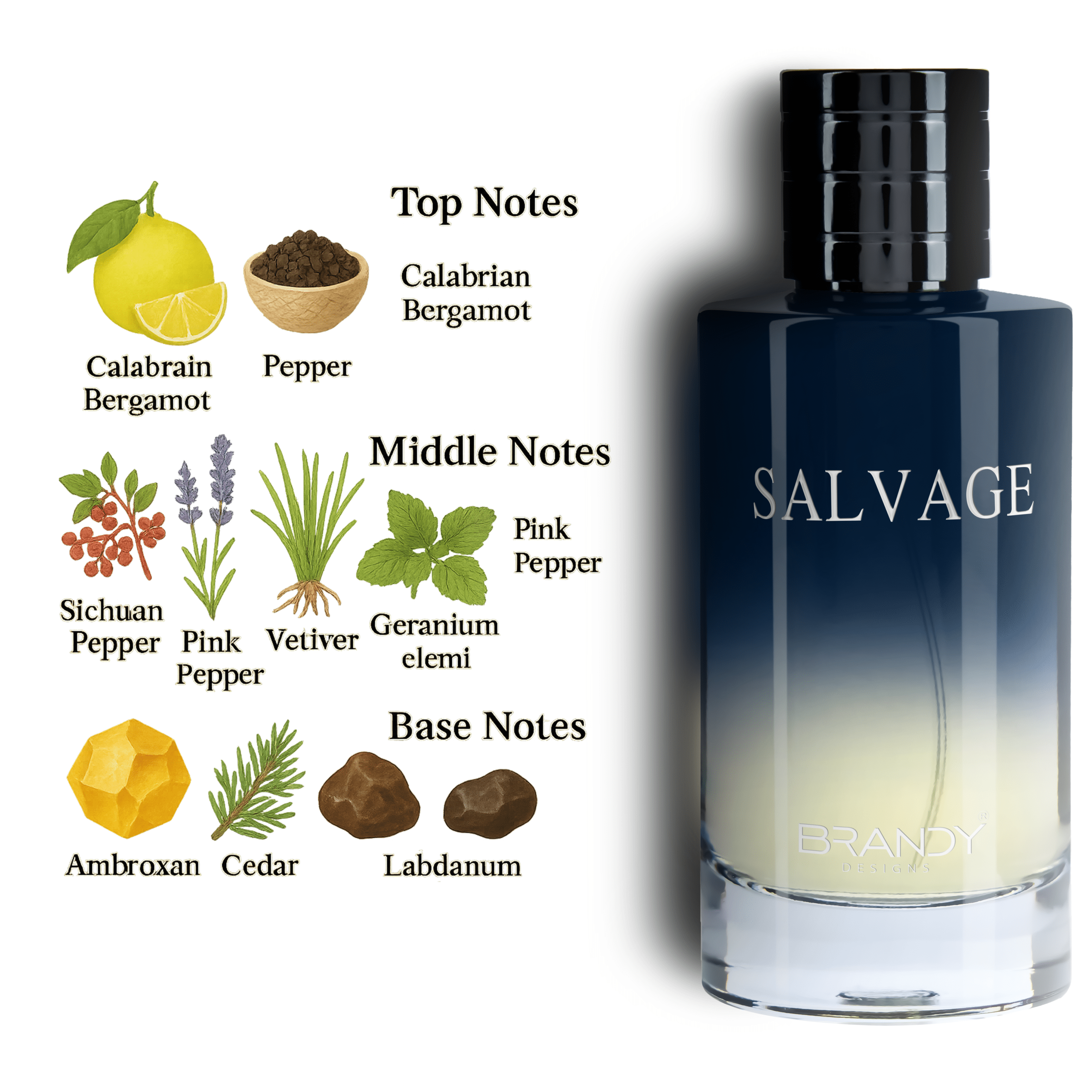 Salvage Eau De Parfum For men – 100ml - Image 5