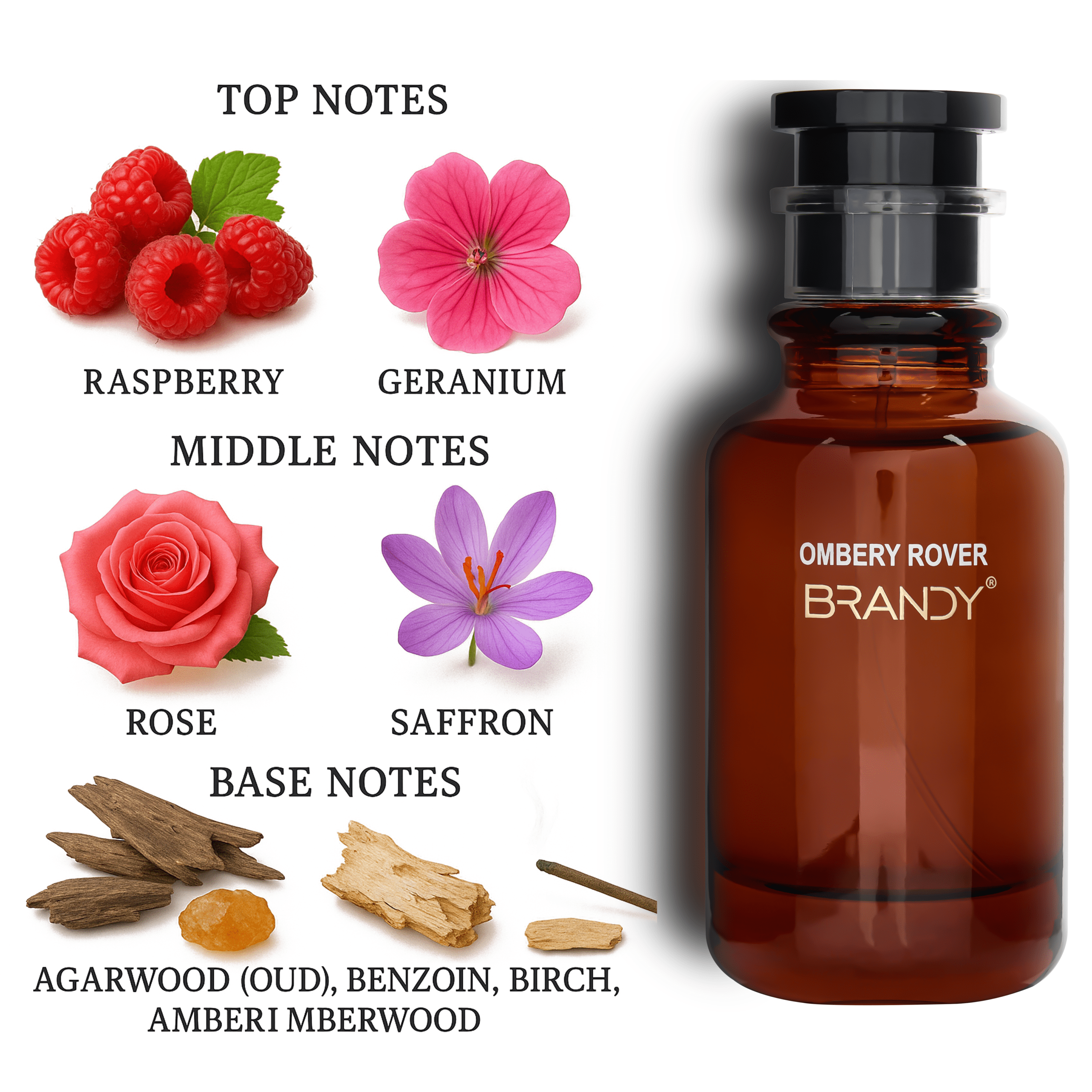 Ombery Rover Eau De Parfum For men – 100ml - Image 5