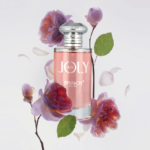 DEAR JOLLY - Image 4